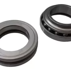 CRAPODINA SMASH/BIZ BHI X JGO.